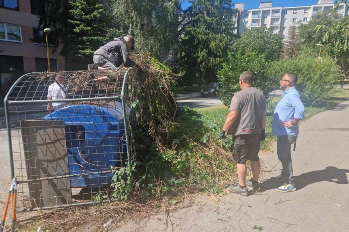 Ilustračný obrázok k článku Premnožené POTKANY v metropole východu: Mestské časti realizujú mimoriadne opatrenia