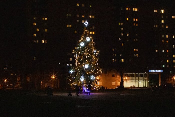 Ilustračný obrázok k článku Ešte je len august, no nezaháľajú: Petržalka hľadá tohtoročný VIANOČNÝ stromček