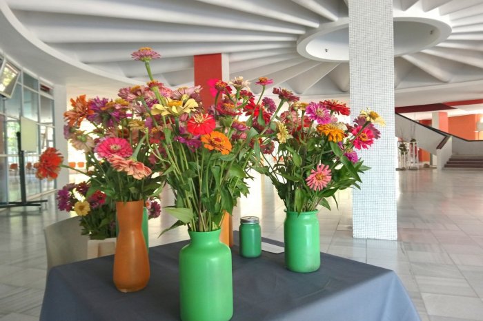 Ilustračný obrázok k článku TO je NÁPAD! Potešte sa touto KRÁSOU