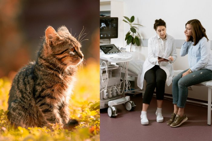 Ilustračný obrázok k článku HROZIVÉ odhalenie: NEBEZPEČNOU infekciou je na Slovensku nakazený KAŽDÝ piaty dospelý