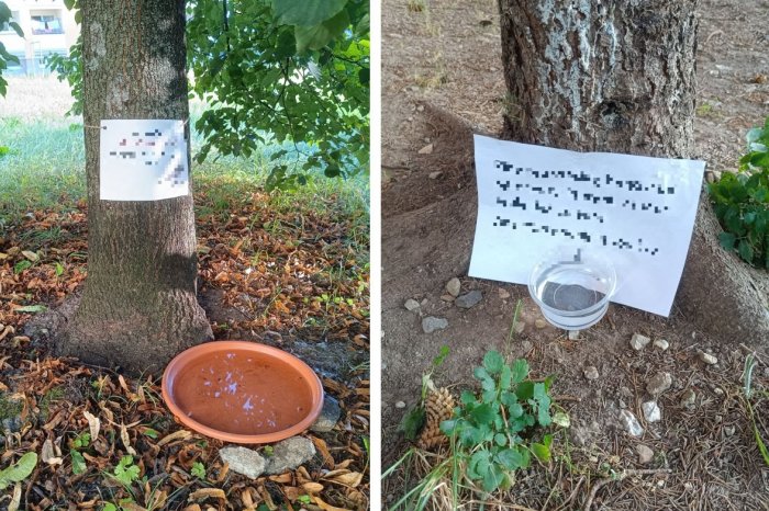 Ilustračný obrázok k článku Krásny prejav ĽUDSKOSTI počas HORÚČAV: Pridáte sa aj vy? FOTO