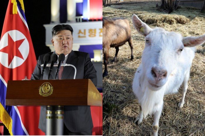 Ilustračný obrázok k článku Rusko v rámci prehlbovania vzťahov poslalo do KĽDR zásielku vyše 400 kôz