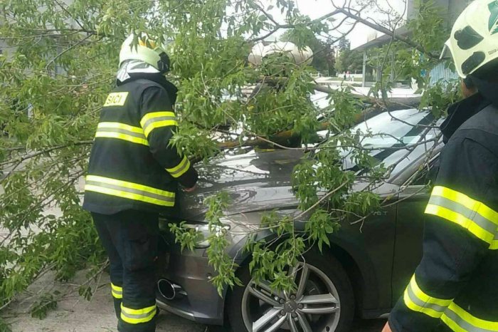 Ilustračný obrázok k článku Trnavský kraj zasiahli silné BÚRKY! Stromy padali na cesty aj autá