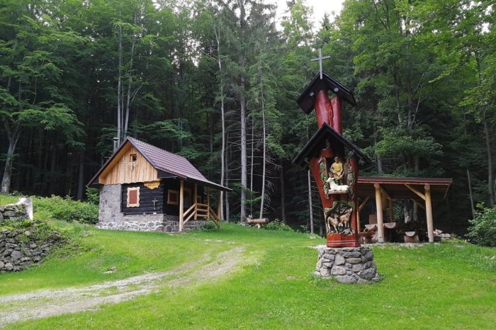 Ilustračný obrázok k článku Nevšedný ZÁŽITOK v lesoch nad Bystricou: Mestskí lesníci začínajú s novou TRADÍCIOU, FOTO