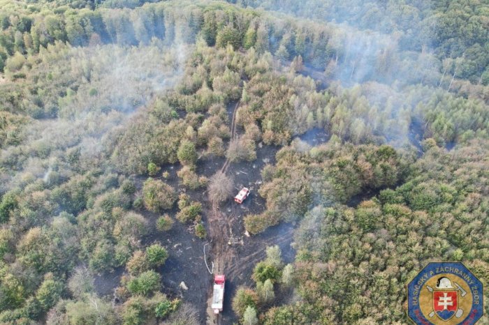 Ilustračný obrázok k článku Rozsiahly POŽIAR v lesoch nad Bratislavou: Hasičom asistujú aj policajti, UZAVRELI cestu, FOTO