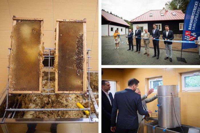 Ilustračný obrázok k článku Veľká pomoc pre budúcich VČELÁROV: Bývalú horáreň ZMENILI na medáreň. FOTO