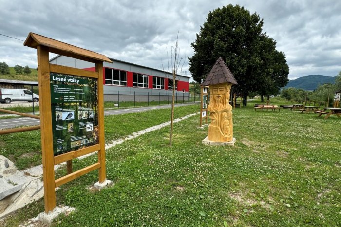 Ilustračný obrázok k článku Unikátne centrum Na Šariši: Každé dieťa z materskej a základnej školy má vysadený svoj strom