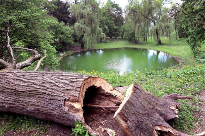 Ilustračný obrázok k článku Areál Borovej hory čaká veľká PREMENA: Priestor má slúžiť ako PARK, čo všetko sa chystá?