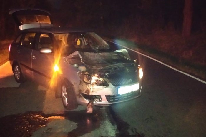 Ilustračný obrázok k článku Marek pod Tatrami prežil HROZIVÚ zrážku so zverou: Všetko má zaznamenané na VIDEU!