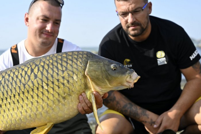 Ilustračný obrázok k článku Rybári obsadili Šíravu: Desiatky tímov súperia v love kaprov, FOTO parádnych úlovkov