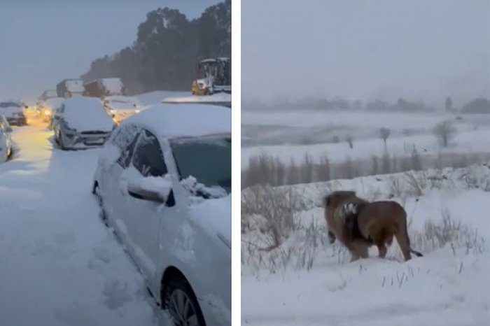 Ilustračný obrázok k článku Južnú Afriku zasypali DVA metre snehu! Toto sme nikdy NEVIDELI, hovoria šokovaní obyvatelia