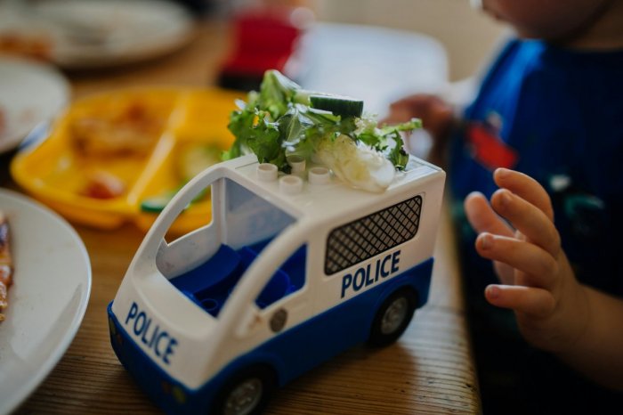 Ilustračný obrázok k článku POTVRDILI prípravu nového dizajnu policajných áut: Taraba označil ten aktuálny za "hračkársky"