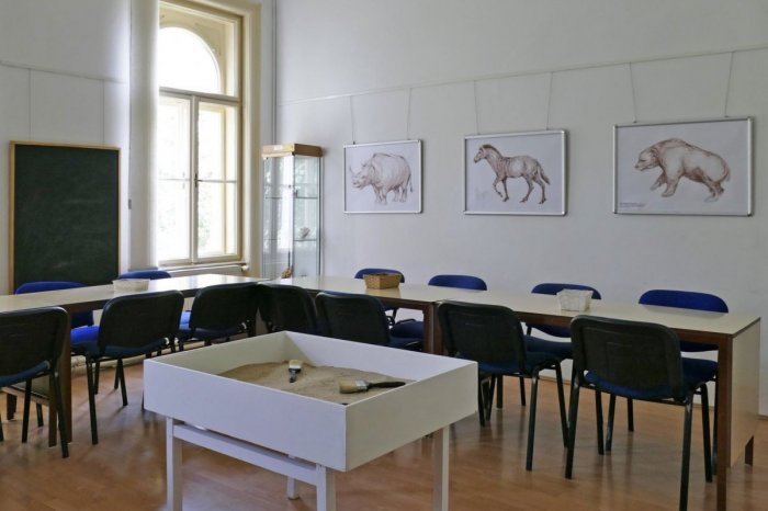 Ilustračný obrázok k článku Jaskyňa v topoľčianskom MÚZEU: Deťom chcú priblížiť PRAVEK