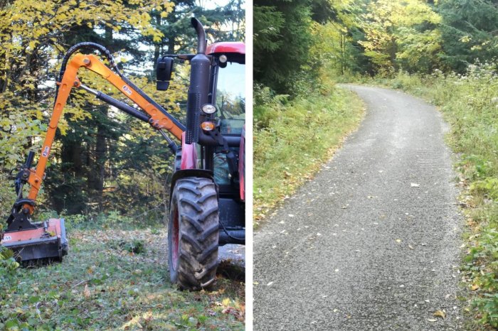 Ilustračný obrázok k článku Bežkári si môžu mädliť ruky: Nad Bystricou sa vo veľkom kosí, píli a mulčuje, FOTO