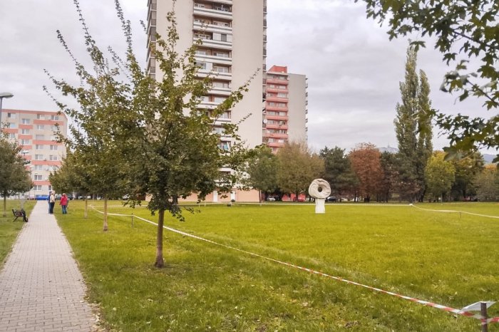 Ilustračný obrázok k článku V Nitre vznikne SLNEČNÁ lúka: Zatiaľ na ňu platí zákaz VSTUPU!