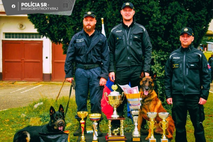 Ilustračný obrázok k článku NAJLEPŠÍ kynológovia sú z Banskobystrického kraja: Máme MAJSTROV Slovenska, FOTO