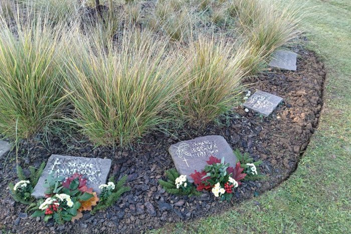 Ilustračný obrázok k článku Prírodný cintorín OPEKNEL: Vysadili tam ďalšie trvalky, kríky a aj stromčeky