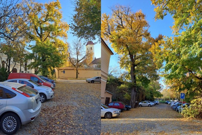 Ilustračný obrázok k článku Levický hrad dostane PARKOVISKO