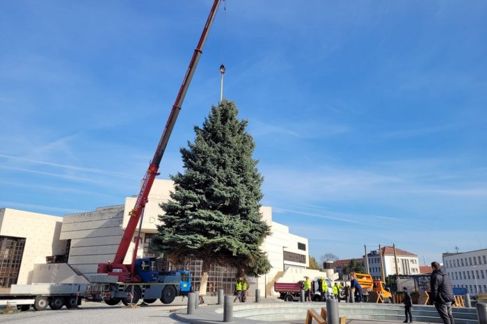 Ilustračný obrázok k článku Osadenie vianočného stromčeka na námestí sa ONESKORÍ: Majestátna jedľa sa ZLOMILA