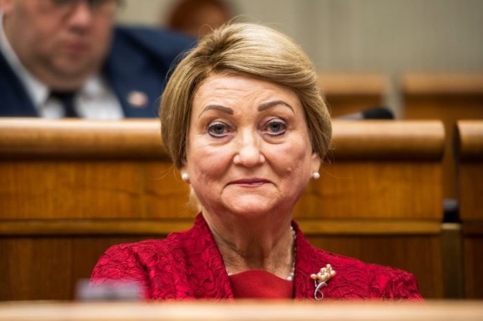 Ilustračný obrázok k článku Záborská a Vašečka to s interrupciami nevzdávajú: Argumentujú TLKOTOM srdca