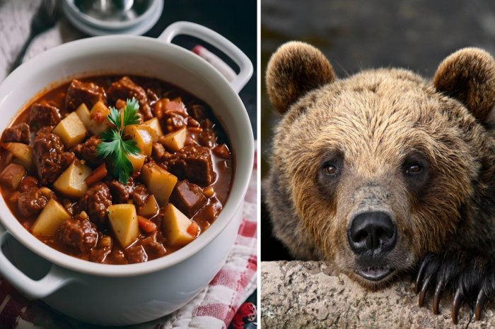 Ilustračný obrázok k článku LAHÔDKA spod tatranskej koliby: Jedlá z medvedieho mäsa! Ako sa k nemu dostali?