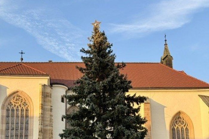 Ilustračný obrázok k článku Má asi 50 rokov, pochádza zo Šidlovca: V centre Prešova sa už týči vianočný stromček