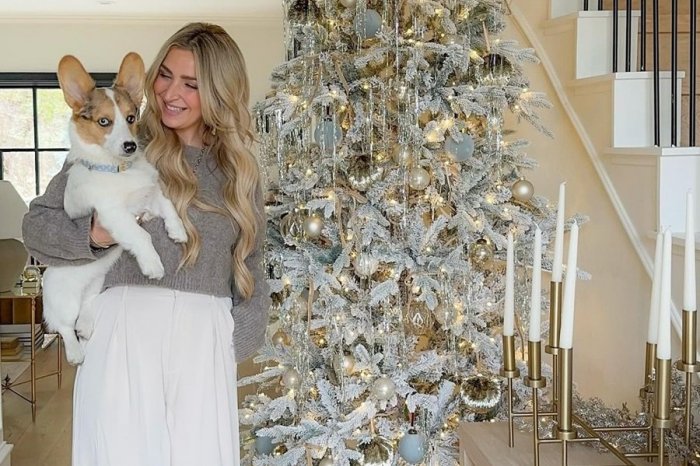 Ilustračný obrázok k článku Zaspávate pri rozžiarenom stromčeku? Tieto SVETIELKA narúšajú spánok