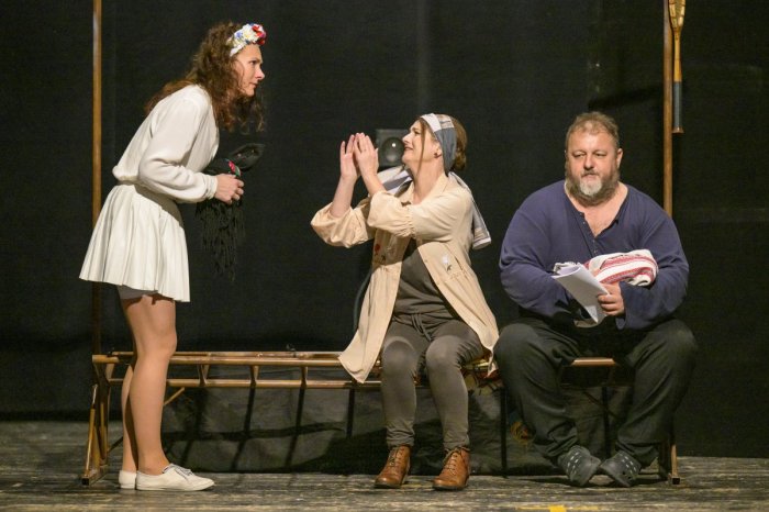 Ilustračný obrázok k článku Je tu priestor zabaviť sa v Divadle A. Duchnoviča: Uvedú príjemnú komédiu - oddychovku