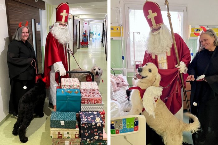 Ilustračný obrázok k článku Mikuláš potešil pacientov s NEVŠEDNÝMI pomocníkmi: ANJEL s ČERTOM mali 4 nohy, FOTO