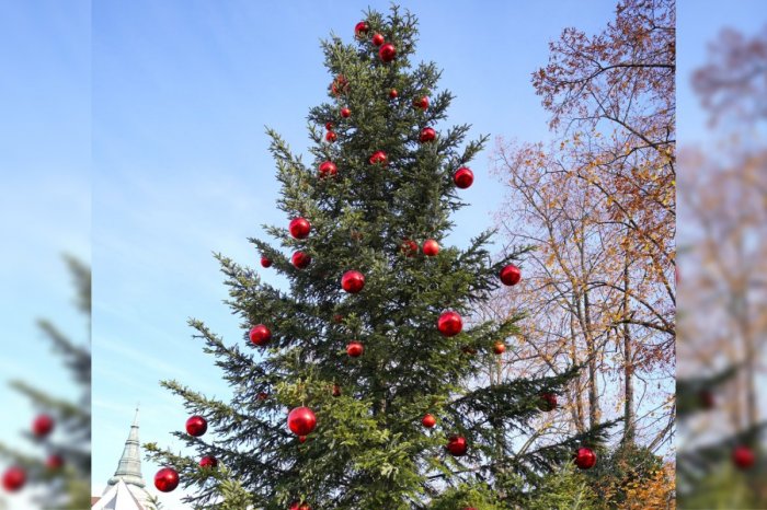 Vianočný stromček na Mariánskom námestí v Žiline