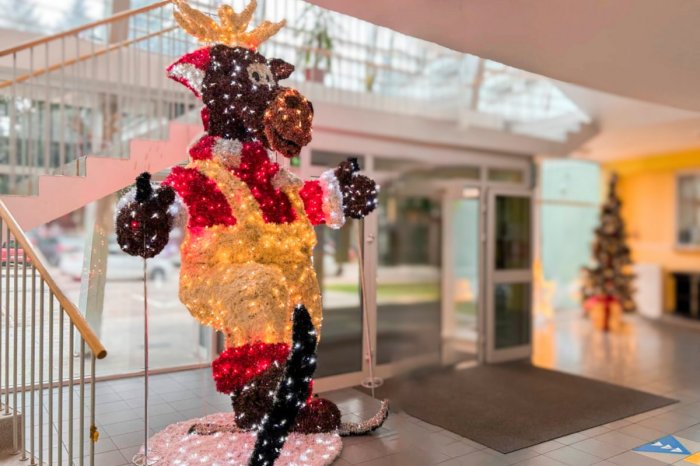 Ilustračný obrázok k článku Vianoce na prešovskej pediatrii: Oddelenie tam skrášľujú vianočné dekorácie, FOTO