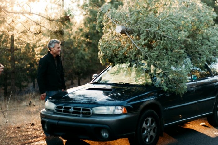 Ilustračný obrázok k článku Ako správne prevážať vianočný stromček? POZOR na porušenie pravidiel! Toto RADÍ polícia