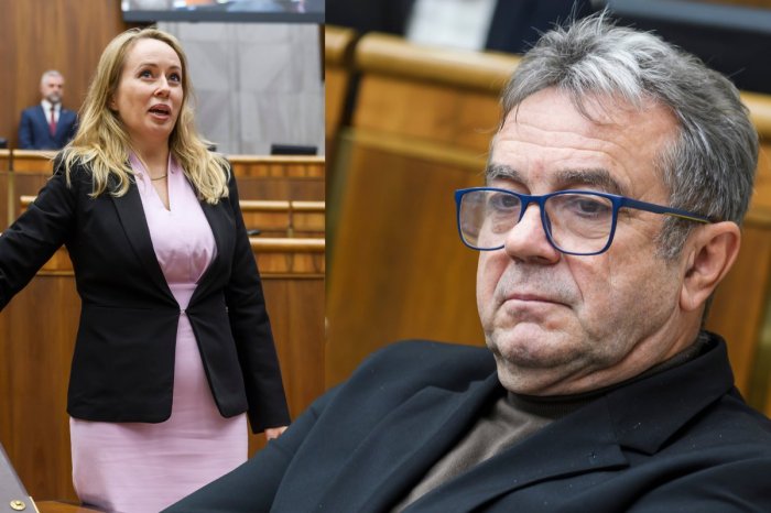 Ilustračný obrázok k článku Incident Pročka s poslankyňou Puškárovou bude mať DOHRU! Hlas podá TRESTNÉ oznámenie