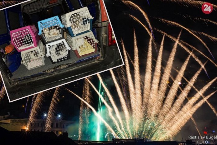 Ilustračný obrázok k článku Nitra aj tento rok BEZ ohňostroja: Peniaze dostal ÚTULOK!