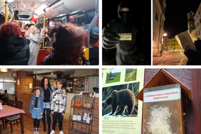 Ilustračný obrázok k článku TOP 10 pozitívnych správ roka 2024: Ľudí zaujal tajomný DARCA, prírodný UNIKÁT aj KURIOZITY