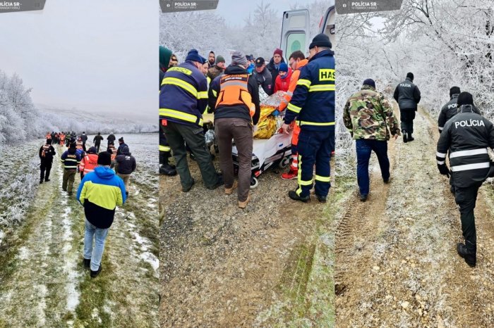 Ilustračný obrázok k článku PÁTRACIA akcia bola ÚSPEŠNÁ! Deduška našli PODCHLADENÉHO, ale živého!