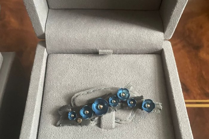 Ilustračný obrázok k článku Prvá dáma USA dostala ako oficiálny dar diamant aj brošňu z úlomku RUSKEJ rakety