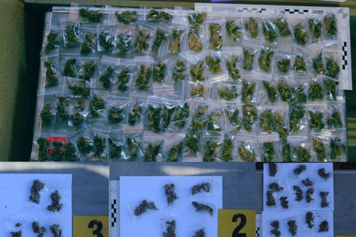 Ilustračný obrázok k článku Muž bol poriadne NABALENÝ: Mal u seba 114 vreciek s MARIHUANOU