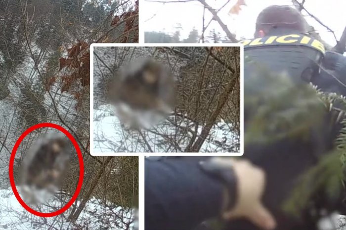 Ilustračný obrázok k článku Mladík sa pošmykol na okraji priepasti Macocha: Polícia ukázala hororové VIDEO