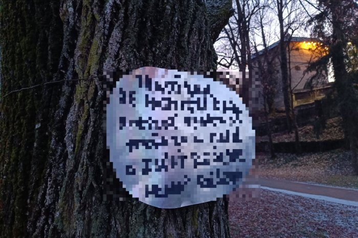 Ilustračný obrázok k článku Ľudí zaujala CEDUĽKA na strome v parku: MOTIVAČNÝ text nestačil, musela preč, FOTO