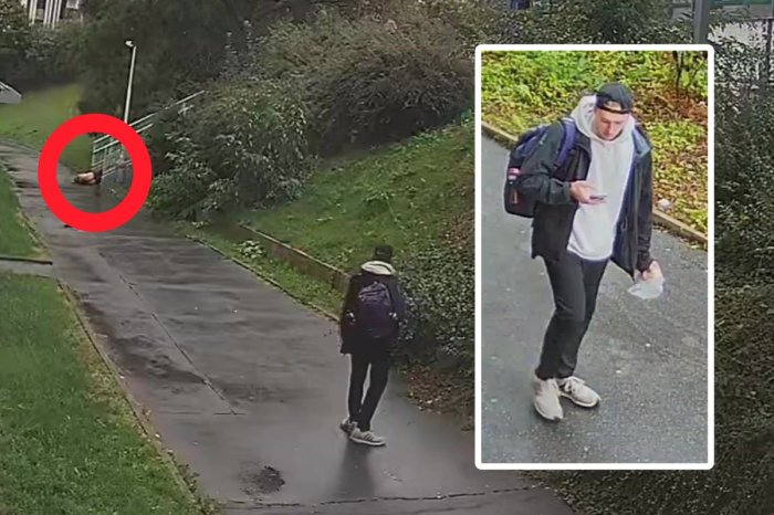 Ilustračný obrázok k článku OHAVNÝ prípad z Česka: Mladík nepomohol ZOMIERAJÚCEMU mužovi! Odfotil ho a odišiel