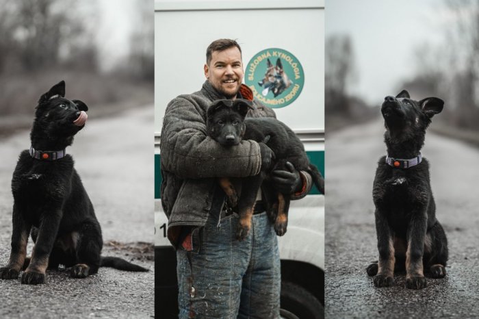 Ilustračný obrázok k článku Policajti majú novú POSILU! FEŠÁKA Darta!