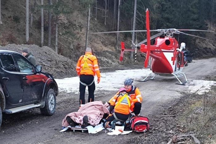 Ilustračný obrázok k článku Slovenskom otriasol ďalší ÚTOK medveďa: ZRANENÉHO muža odviezli leteckí záchranári