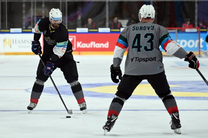 Ilustračný obrázok k článku Pálffy, Gáborík, Handzuš či Zedník: V Michalovciach budú hrať hokejové ALL STAR legendy