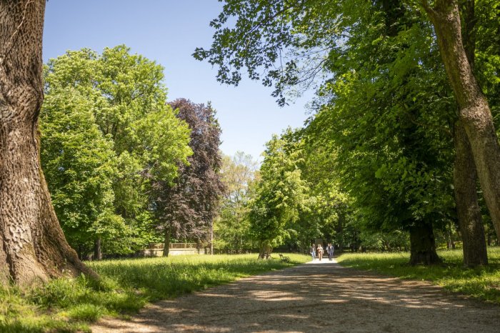 Ilustračný obrázok k článku Vrátia mu zašlú slávu: Kraj začal s revitalizáciou Kaštieľskeho parku v Stupave