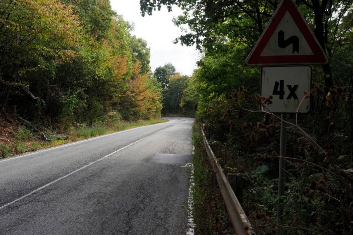 Ilustračný obrázok k článku Motoristi to musia strpieť: Výrub drevín pri Košiciach si vyžiada 2 týždne obmedzenia