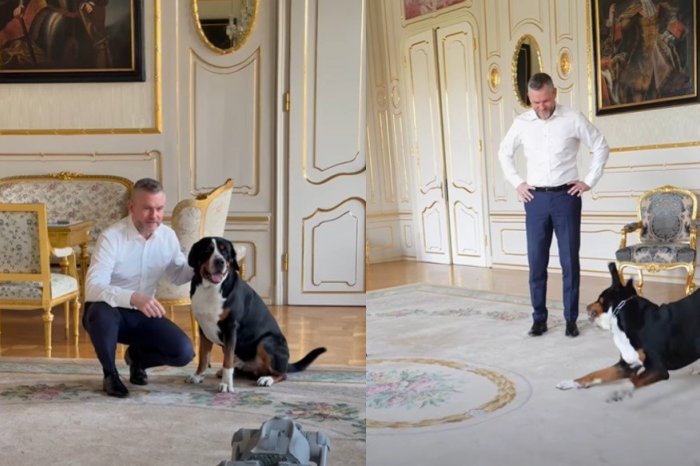 Ilustračný obrázok k článku VIDEO: Nevídaná návšteva u Pellegriniho! Z hosťa Jimmyho bol NESVOJ aj prezidentov pes Gery