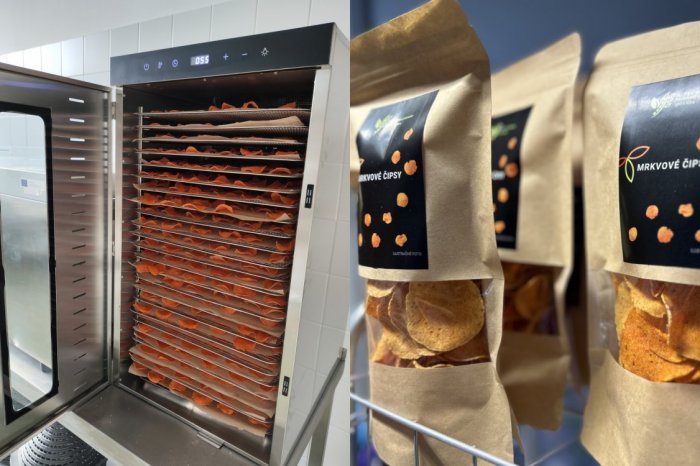 Ilustračný obrázok k článku Nitriansky Potravinový inkubátor má PRVÝ výrobok! Vyskúšate MRKVOVÉ čipsy?