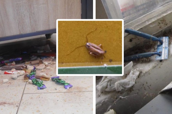 Ilustračný obrázok k článku HNUS, čo objavili pri kontrolách v slovenských obchodoch! Vzduchom lietali pokuty, FOTO