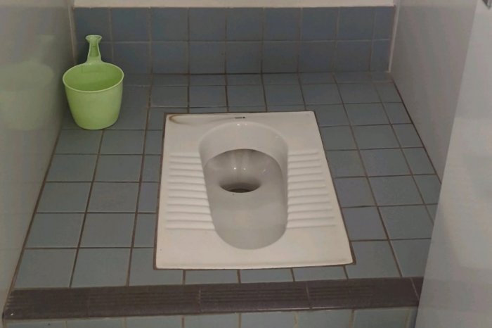 Ilustračný obrázok k článku Rakúšanov nahnevali TURECKÉ záchody budované pri diaľniciach: Návrat do STREDOVEKU, vravia